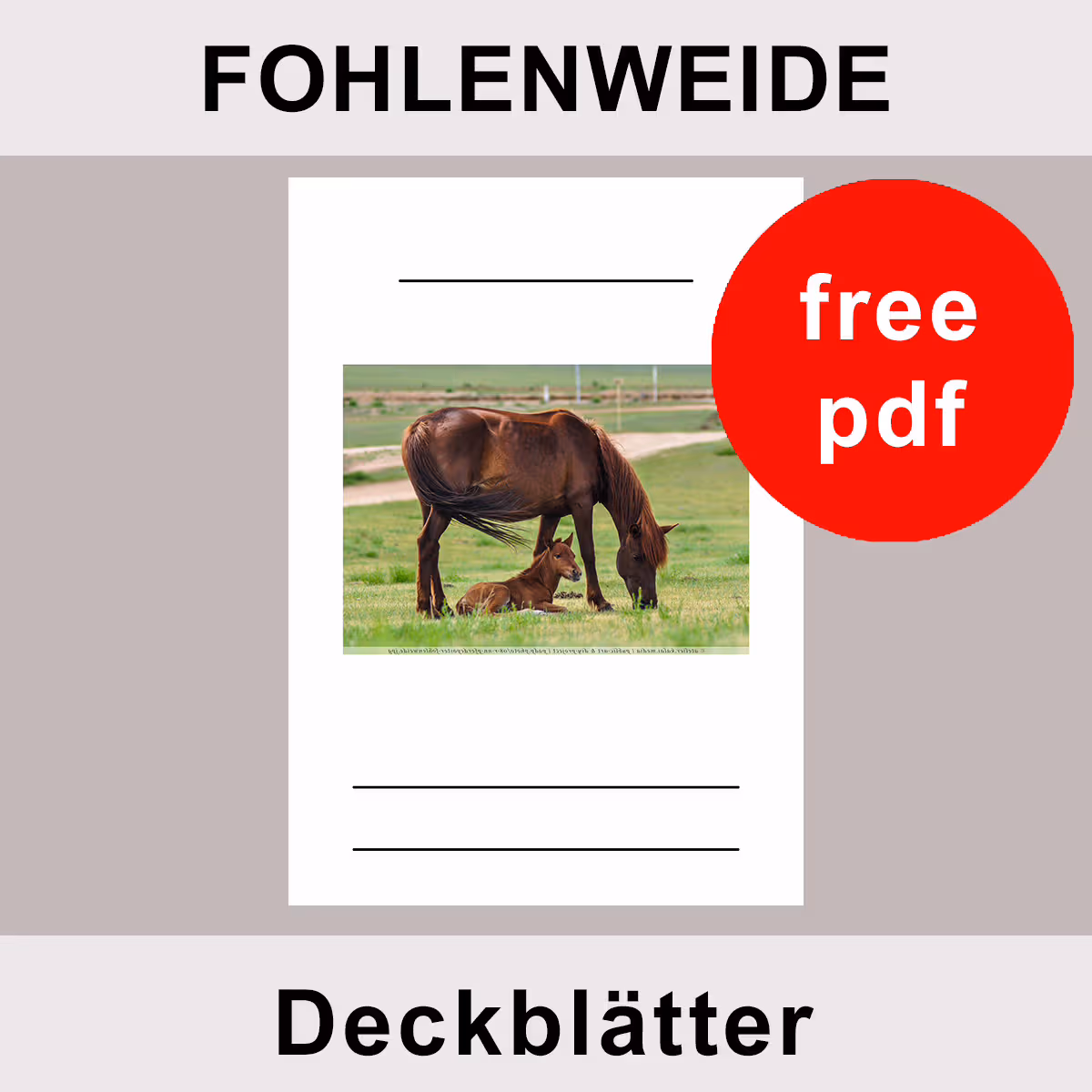 Fohlenweide – Deckblatt Vorlagen (PDF) – kostenlos