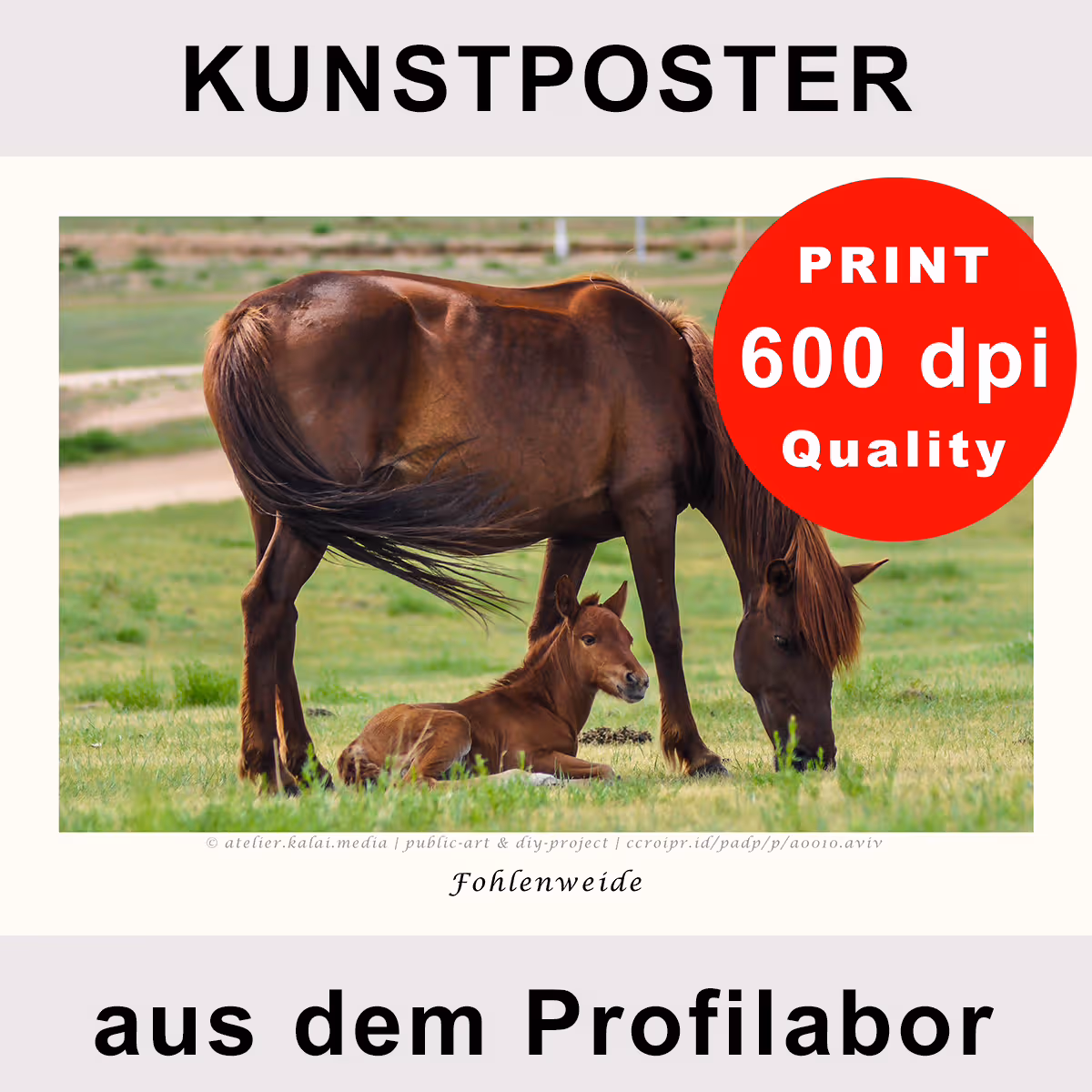 Pferdeposter »Fohlenweide« – linke Motivhälfte