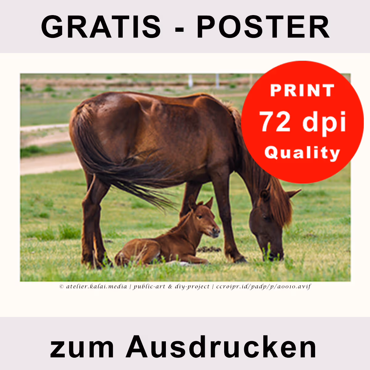 Tierfoto zum Ausdrucken – Pferdeposter Fohlenweide (Version A)