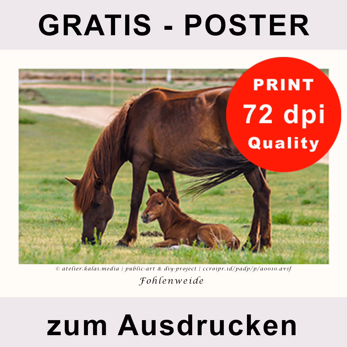 Tierfoto zum Ausdrucken – Pferdeposter Fohlenweide (Version D)