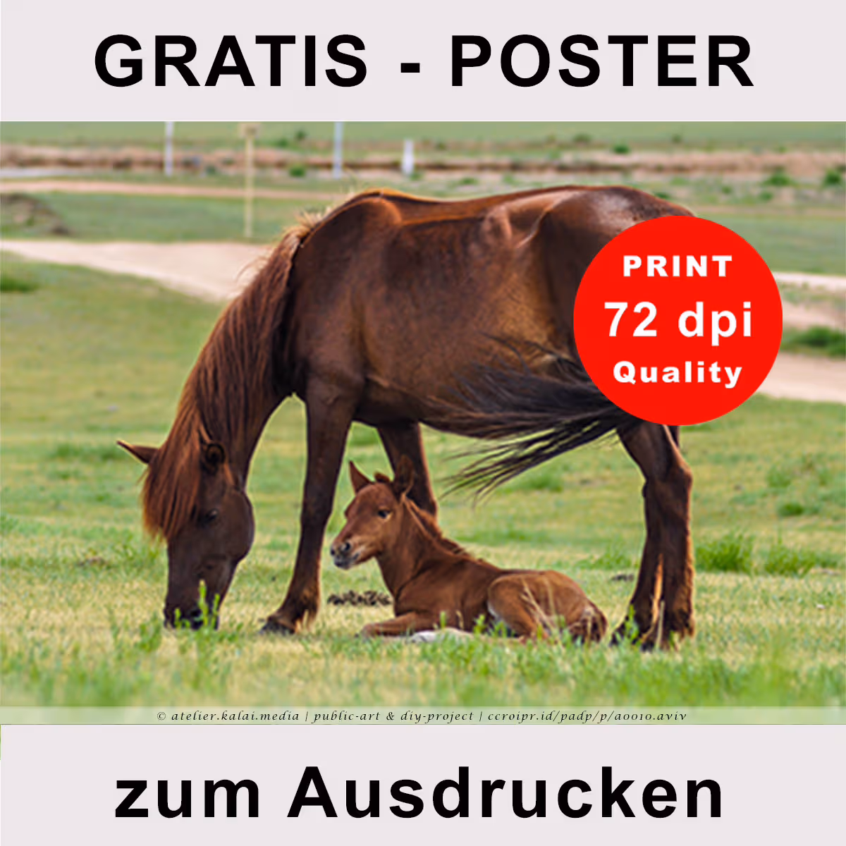Tierfoto zum Ausdrucken – Pferdeposter Fohlenweide (Version F)
