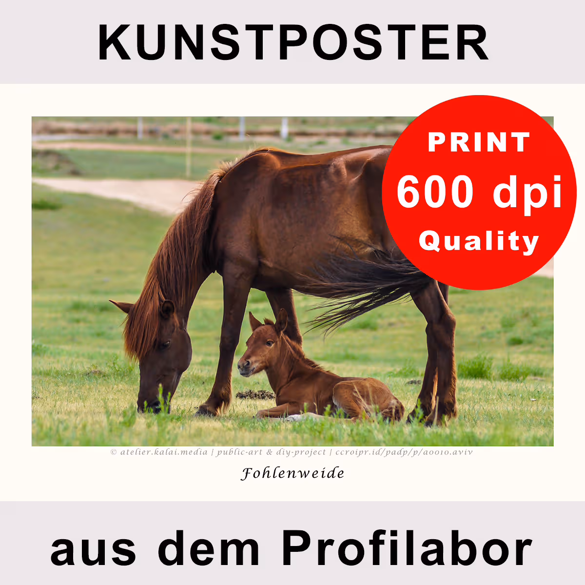 Pferdeposter »Fohlenweide« – rechte Motivhälfte