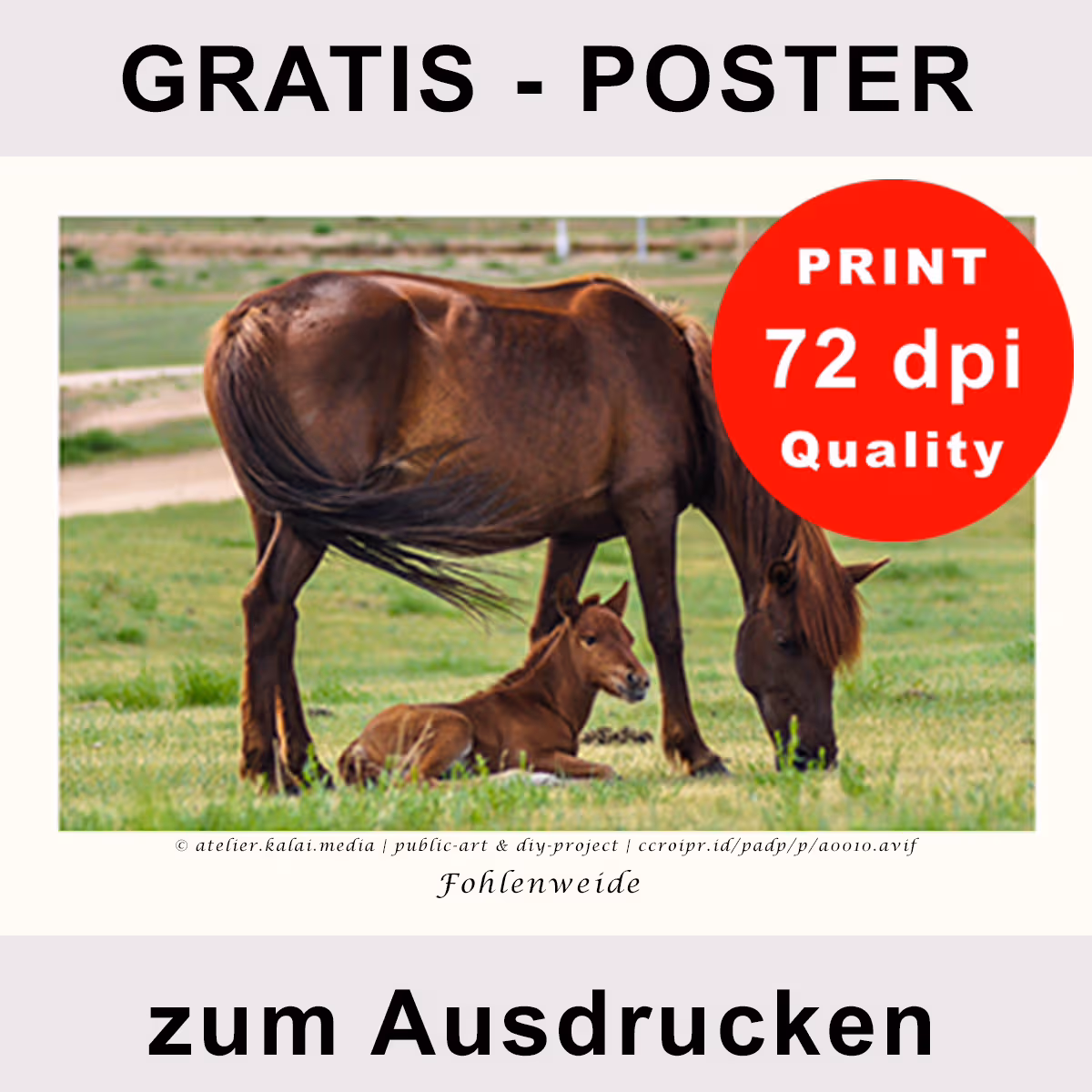 Tierfotos-zum-Ausdrucken Pferdeposter-Fohlenweide Version C